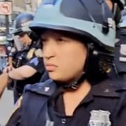 Stephanie J. Vega
