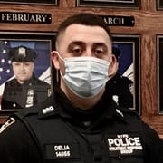 Louis V. Delia
